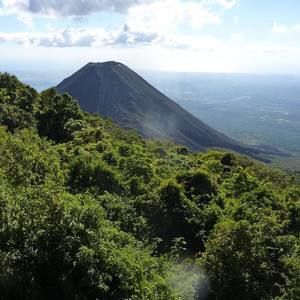 Meet your Posher, Elsa